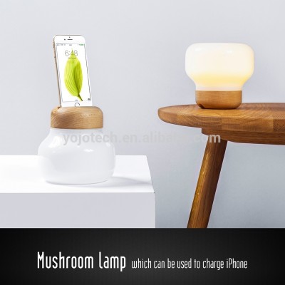 MFI Certified Charging Station, 2 in 1 Multifunction LED Table Lamp with Charging Dock for iPod, iPhone, and iPad